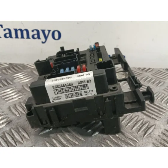 Caja Reles / Fusibles para Peugeot 307 (3A/C)
