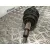 Transmision Delantera Derecha para Nissan Interstar Furgoneta (X70)