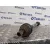 Transmision Delantera Derecha para Volkswagen Golf Vi (5K1)