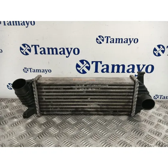 Intercooler para Renault Kangoo / Grand Kangoo Ii (Kw0/1_)
