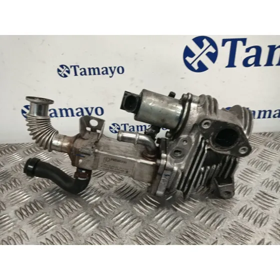 Enfriador Egr para Renault Scenic Ii