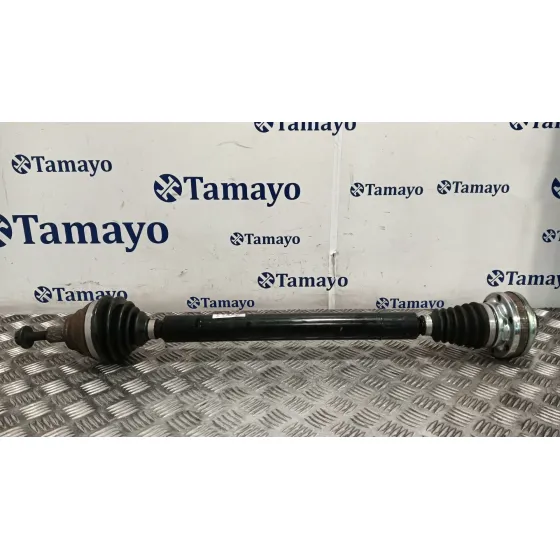 Transmision Delantera Derecha para Volkswagen Golf Plus V (5M1, 521)
