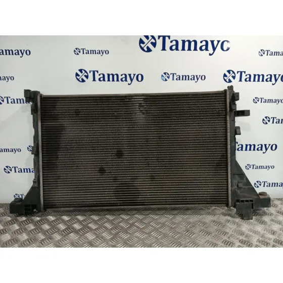 Radiador Agua para Renault Master Iii Autobus (Jv)