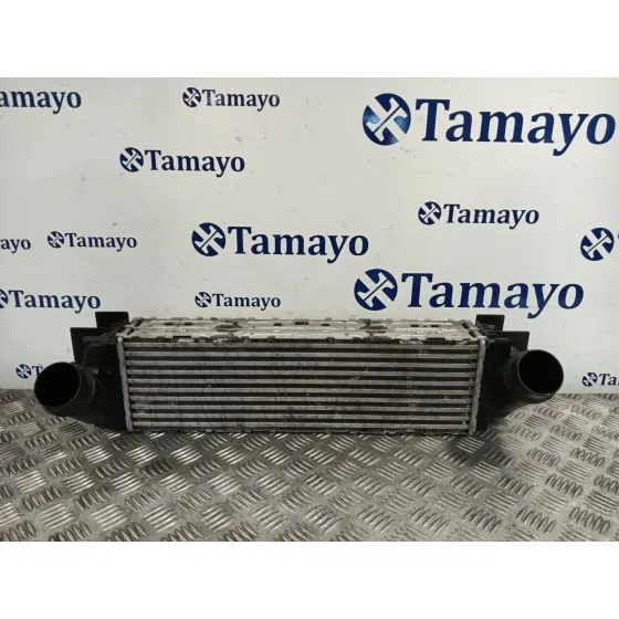 Intercooler para Bmw X3 (F25)