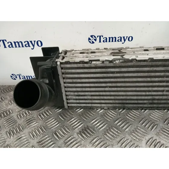 Intercooler para Bmw X3 (F25)