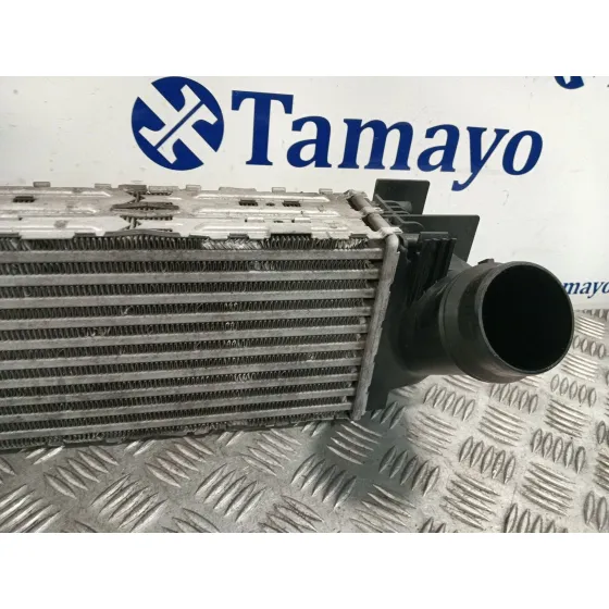 Intercooler para Bmw X3 (F25)
