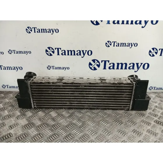 Intercooler para Bmw X3 (F25)
