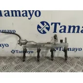 Rampa Inyectora para Opel Meriva B Monospace (S10)