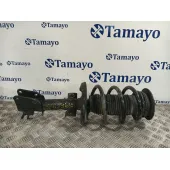 Amortiguador Delantero Derecho para Renault Master Iii Autobus (Jv)