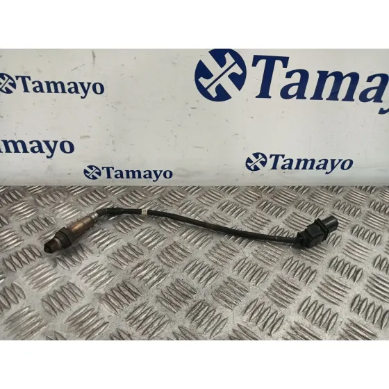 Sonda Lambda para Volkswagen Golf Plus V (5M1, 521)