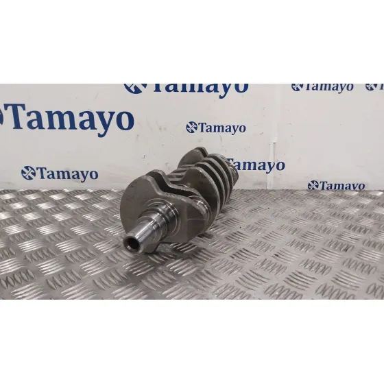 Ciguenal para Fiat Panda / Panda Classic (169_)