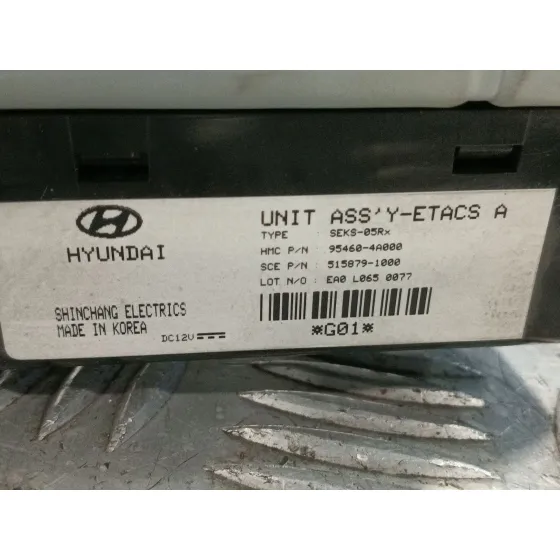 Modulo Electronico para Hyundai H-1 / Starex Autobus (A1)
