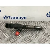 Inyector para Ford Transit Connect (P65_, P70_, P80_)