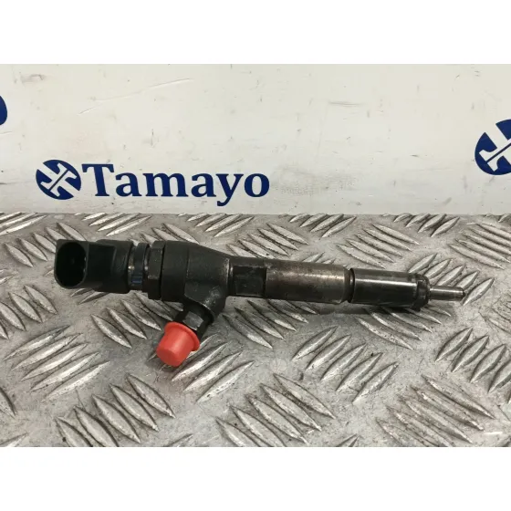 Inyector para Ford Transit Connect (P65_, P70_, P80_)