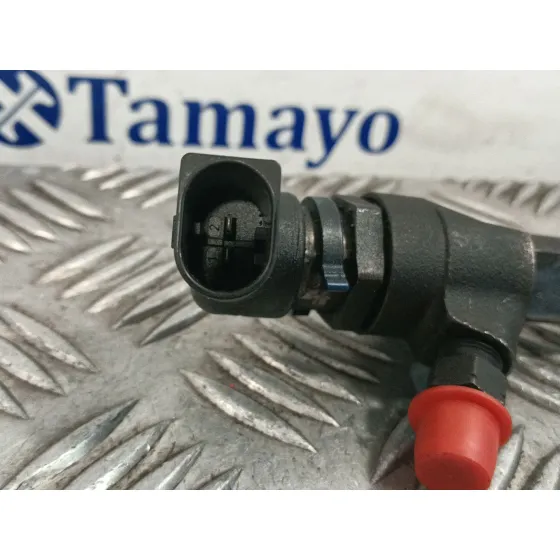 Inyector para Ford Transit Connect (P65_, P70_, P80_)
