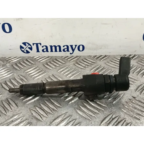Inyector para Ford Transit Connect (P65_, P70_, P80_)