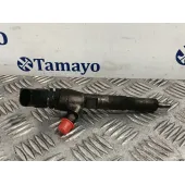 Inyector para Ford Transit Connect (P65_, P70_, P80_)