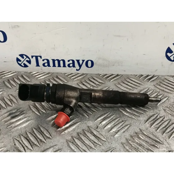 Inyector para Ford Transit Connect (P65_, P70_, P80_)