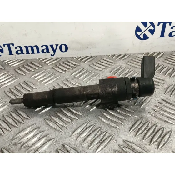 Inyector para Ford Transit Connect (P65_, P70_, P80_)