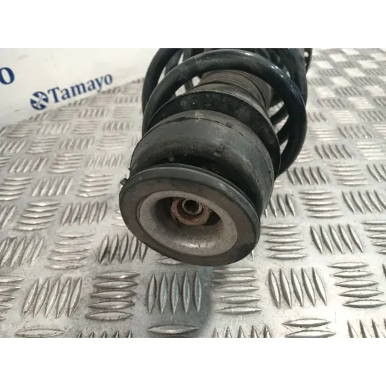 Amortiguador Delantero Derecho para Seat Ibiza (6J5)