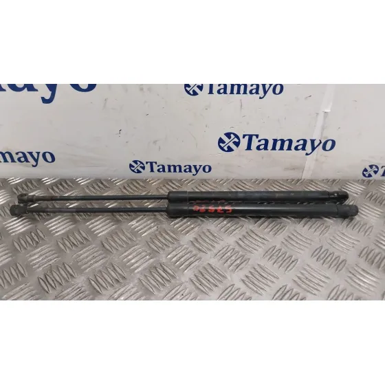 Amortiguador Porton Trasero Derecho para Seat Altea Xl (5P5)