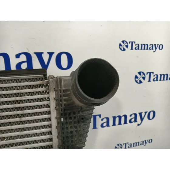 Intercooler para Volkswagen Caddy Iii Furgoneta/Monovolumen (2Ka, 2Kh, 2Ca, 2Ch)