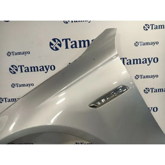 Aleta Delantera Izquierda para Bmw 5 Touring (F11)