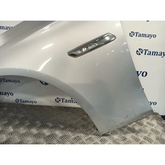 Aleta Delantera Izquierda para Bmw 5 Touring (F11)