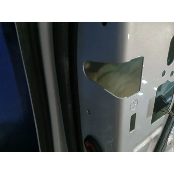 Puerta Trasera Izquierda para Bmw 5 Touring (F11)