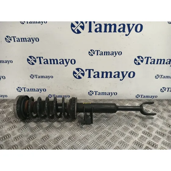 Amortiguador Delantero Izquierdo para Bmw 5 Touring (F11)