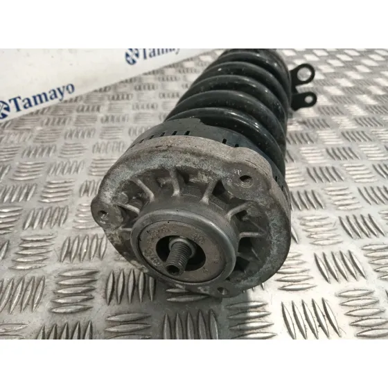 Amortiguador Delantero Izquierdo para Bmw 5 Touring (F11)