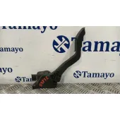 Pedal Acelerador para Citroën C4 I (Lc_)