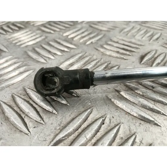 Amortiguador Porton Trasero Derecho para Lexus Rx