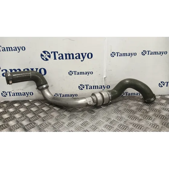 Mangueras Intercooler para Renault Grand Scenic Ii (Jm0/1_)