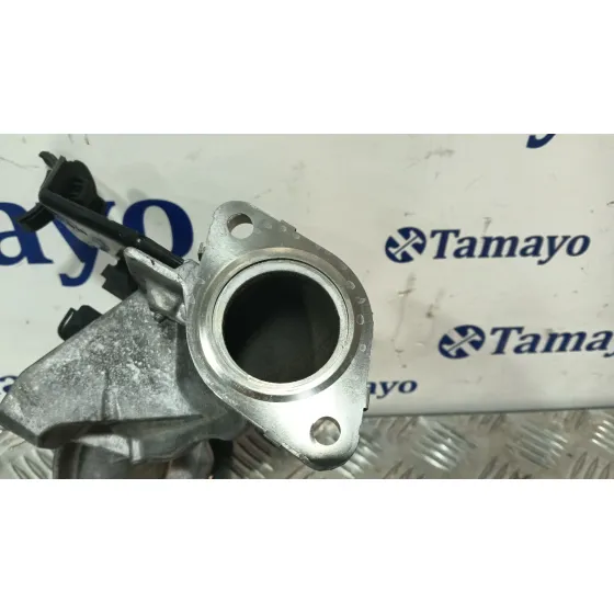 Tubo Egr para Renault Scenic Ii