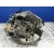 Caja Cambios para Peugeot 306 Hatchback (7A, 7C, N3, N5)