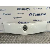 Rejilla Delantera para Renault Kangoo Express (Fw0/1_)