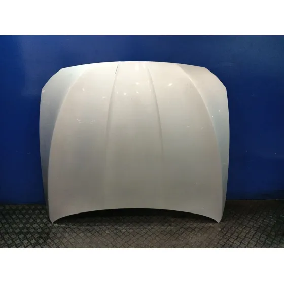 Capot para Bmw 5 Touring (F11)