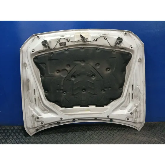 Capot para Bmw 5 Touring (F11)