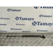 Amortiguador Porton Trasero Derecho para Nissan Qashqai I (J10, Nj10)