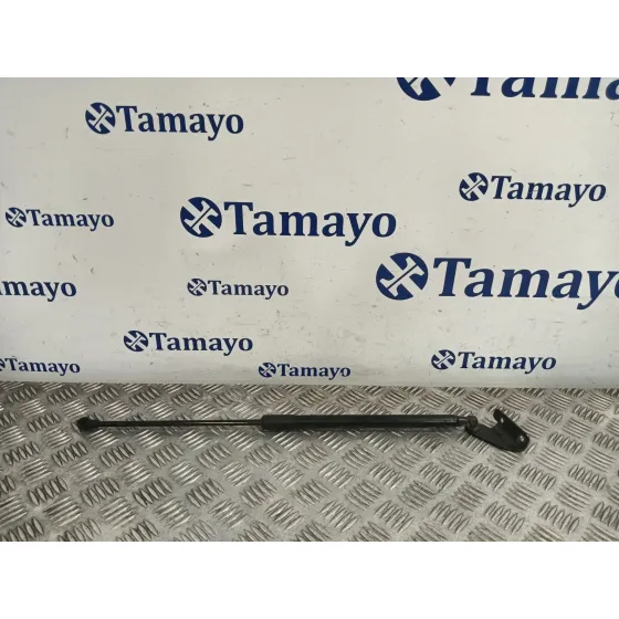 Amortiguador Porton Trasero Derecho para Nissan Qashqai I (J10, Nj10)