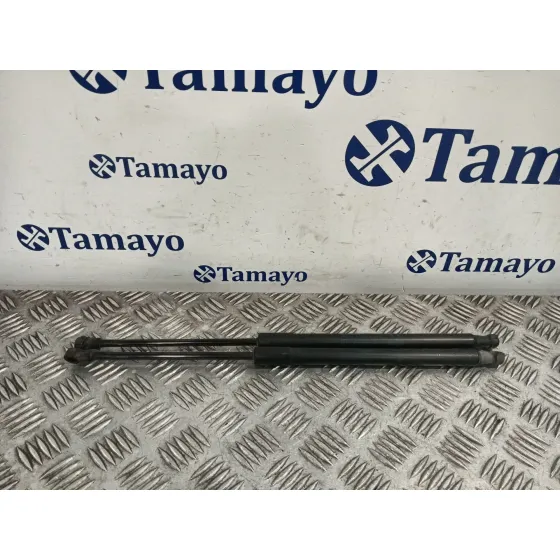 Amortiguadores Maletero / Porton para Toyota Auris
