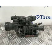 Termostato para Citroën Berlingo Furgoneta/Monovolumen (K9)
