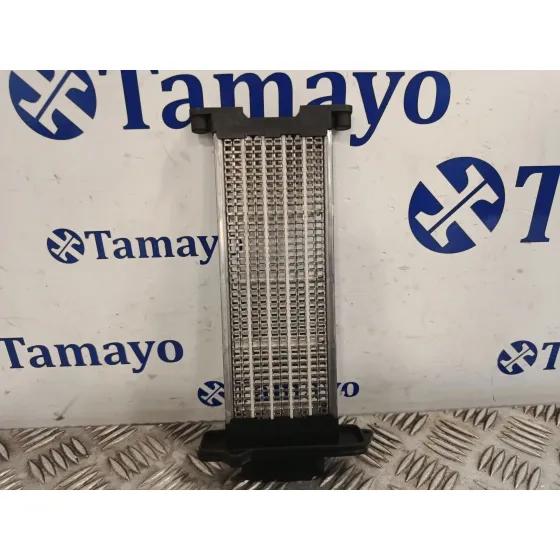 Resistencia Calefaccion para Renault Master Iii Autobus (Jv)