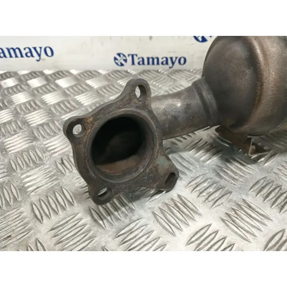 Catalizador para Seat Leon (1P1)
