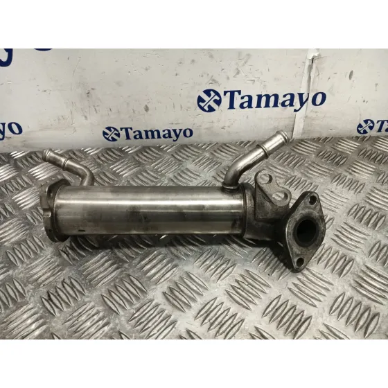 Enfriador Egr para Citroën Jumper Furgon