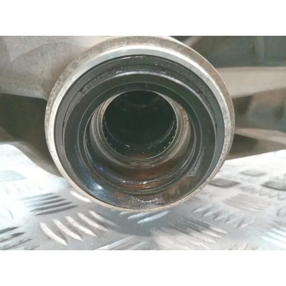 Diferencial Trasero para Land Rover Discovery Iv (L319)