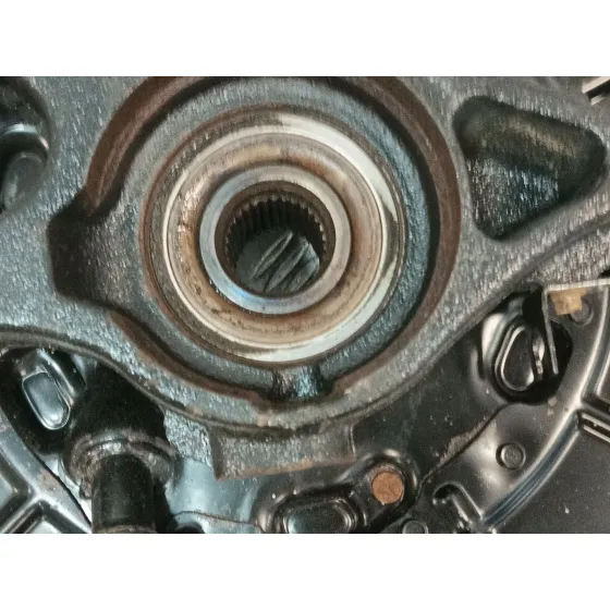 Mangueta Trasera Izquierda para Land Rover Discovery Iv (L319)