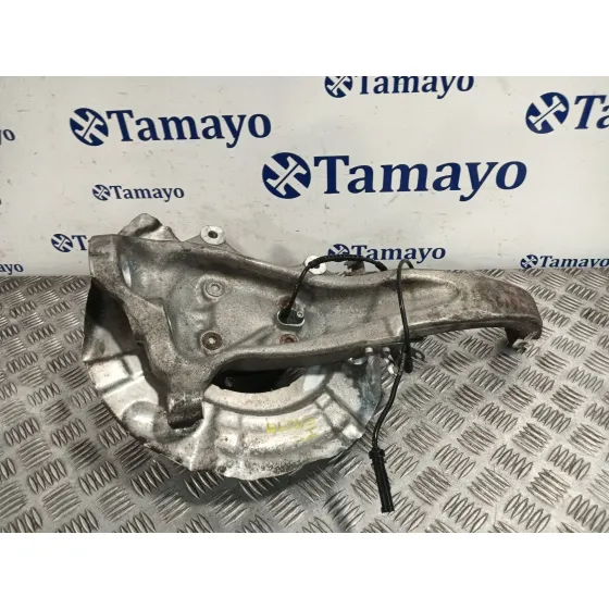 Mangueta Delantera Izquierda para Bmw 5 Touring (F11)
