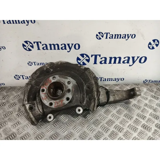 Mangueta Delantera Izquierda para Bmw 5 Touring (F11)